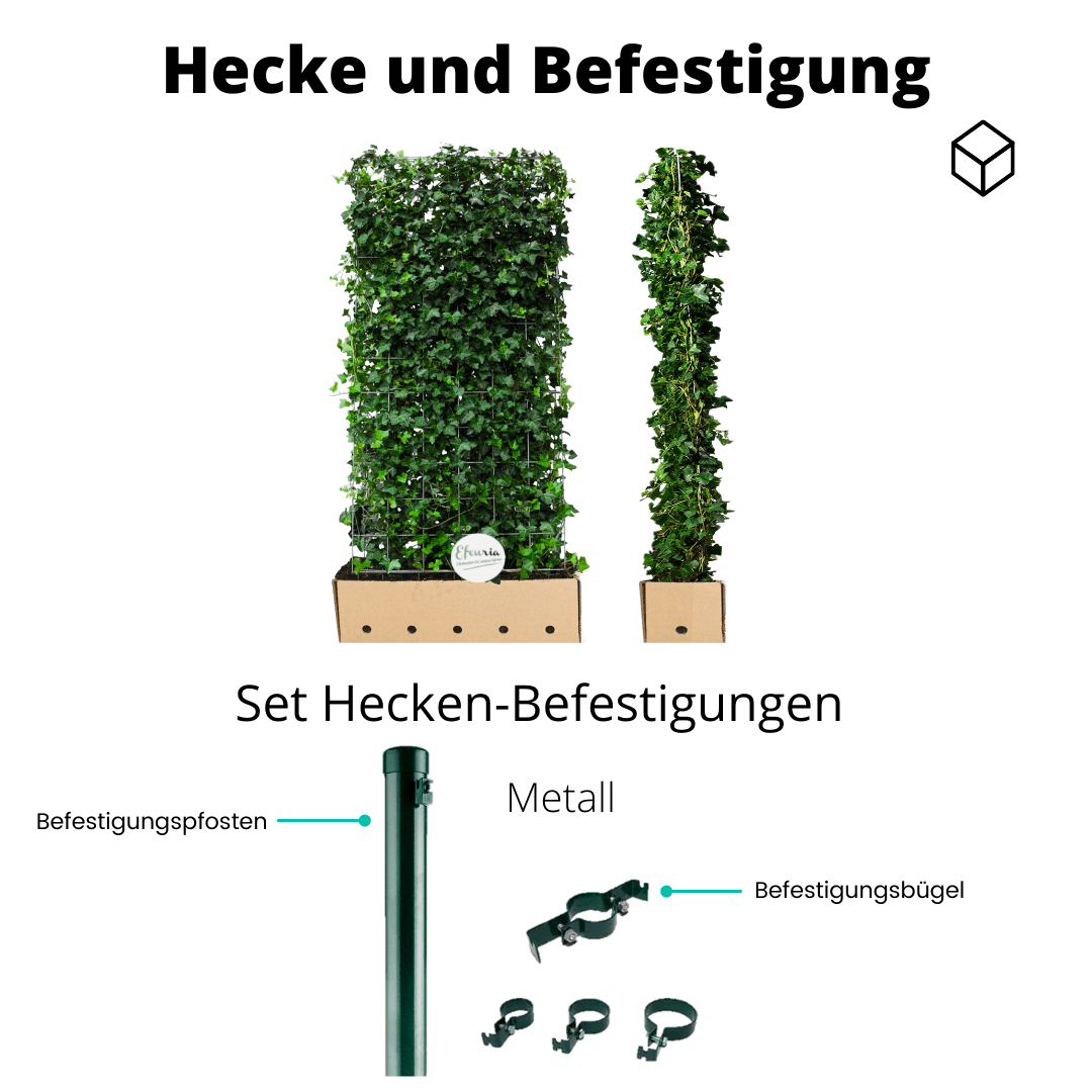 Adela Efeuhecke als Gartenheck, Fertighecke Hedera helix Woerner als Zaun Efeu Sichtschutz, 180 cm Höhe, 120 cm Breite, Vorteil Hecke am laufenden Meter Mobilane - Efeuria, die Gartenhecken aus Efeu