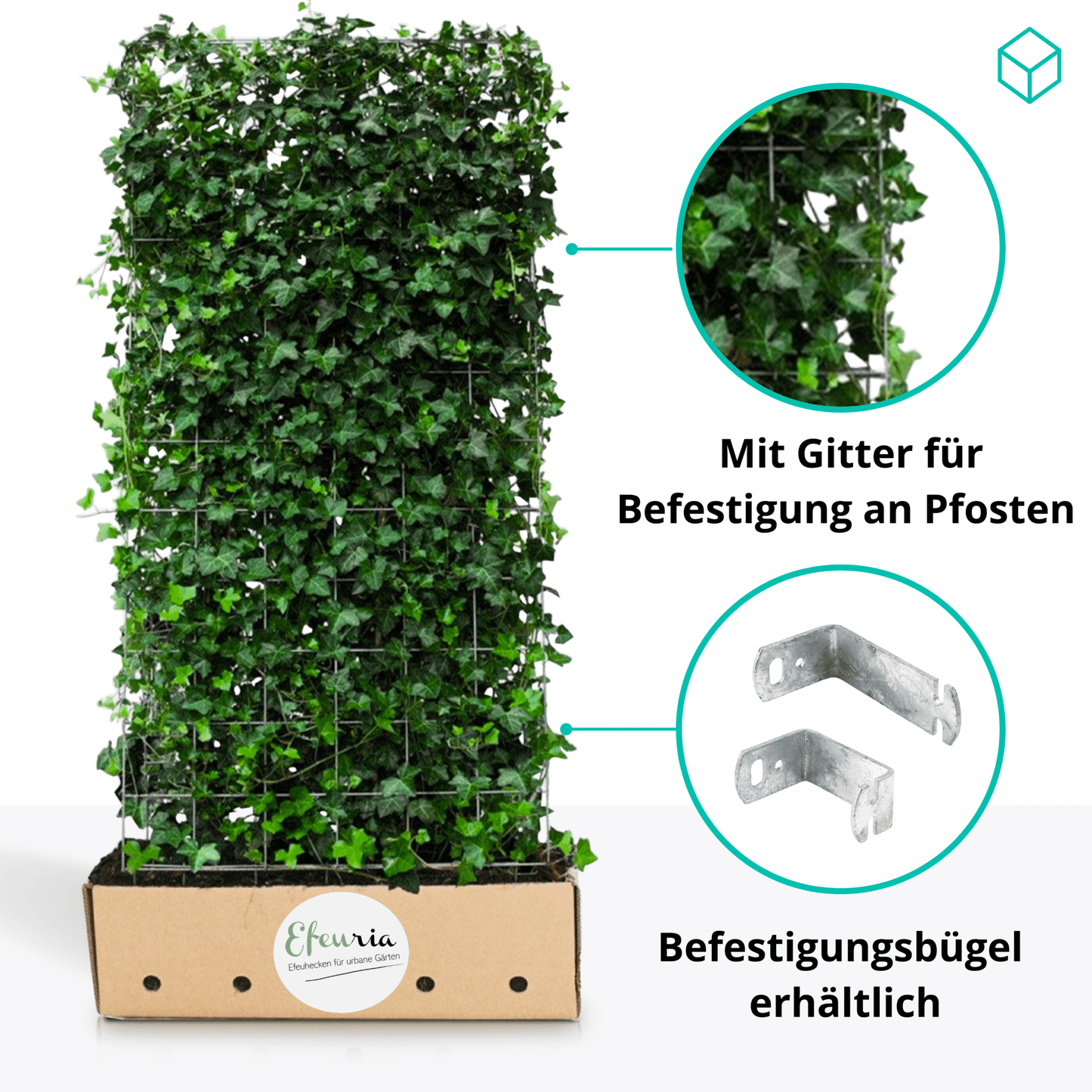 Befestigung Wandhalterungsbügel Metall galvanisiert (4 Stück) - Efeuria, die Gartenhecken aus Efeu