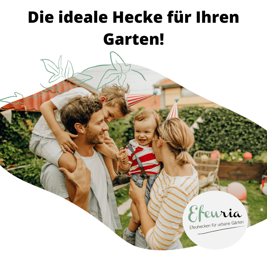 Zwischenbügel Metall grün — Lifestyle: Familie genießt Garten mit Efeuhecke