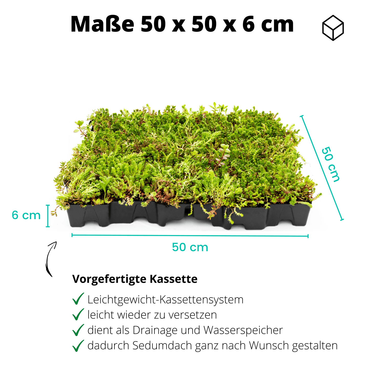 Gründach MobiRoof Sedum Dachbegrünung, Dachbegrünungssystem Flachdach Garagendach, extensive Bepflanzung, Maße 50x50x6 cm, Vorteile - Efeuria, die Gartenhecken aus Efeu