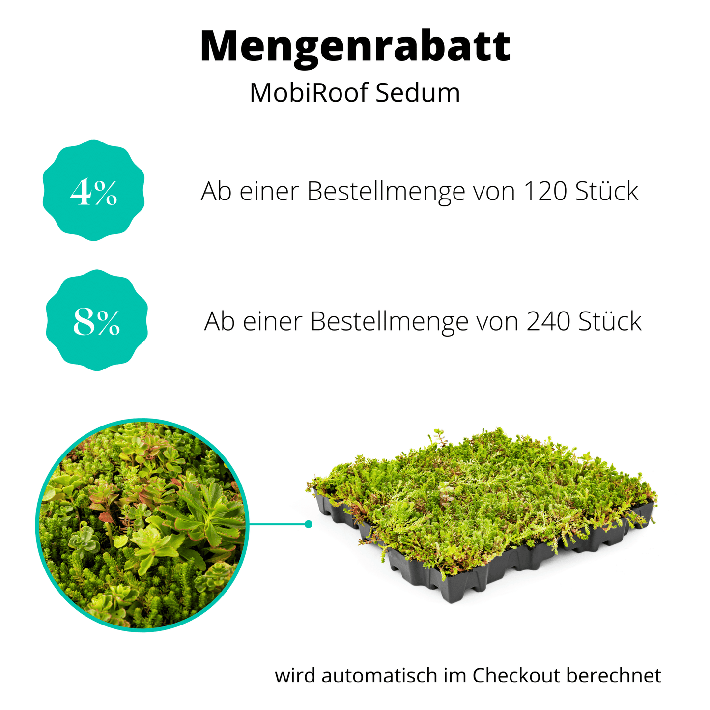 Gründach MobiRoof Sedum Dachbegrünung, Dachbegrünungssystem Flachdach Garagendach, extensive Bepflanzung, Maße 50x50x6 cm, Vorteile - Efeuria, die Gartenhecken aus Efeu