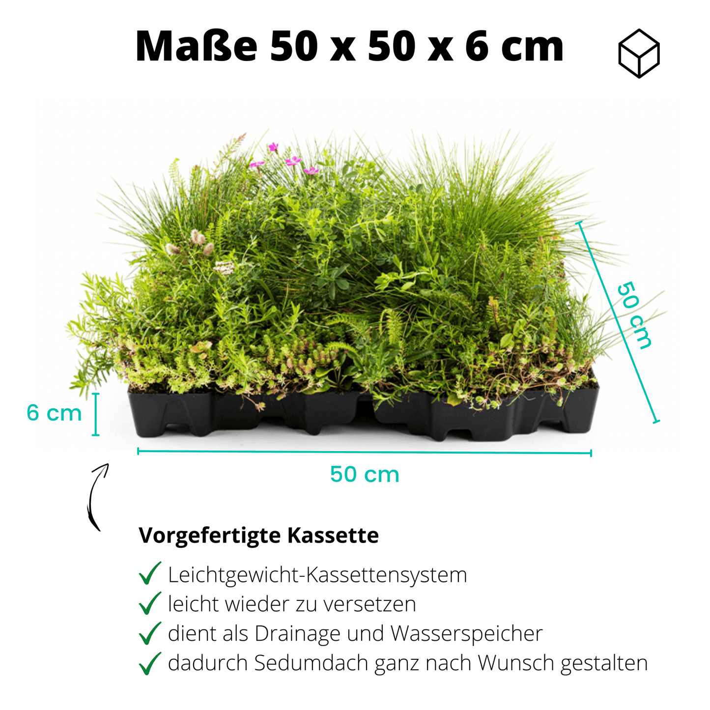 Gründach MobiRoof Sedum & WildFlower, extensive Dachbegrünung Flachdach, Dachbegrünungssystem Bepflanzung, Maße 50x50x6 cm, Vorteile - Efeuria, die Gartenhecken aus Efeu