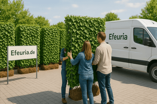 Efeuria startet neue Click & Collect-Abholstation für Efeuhecken bei München - Efeuria, die Gartenhecken aus Efeu