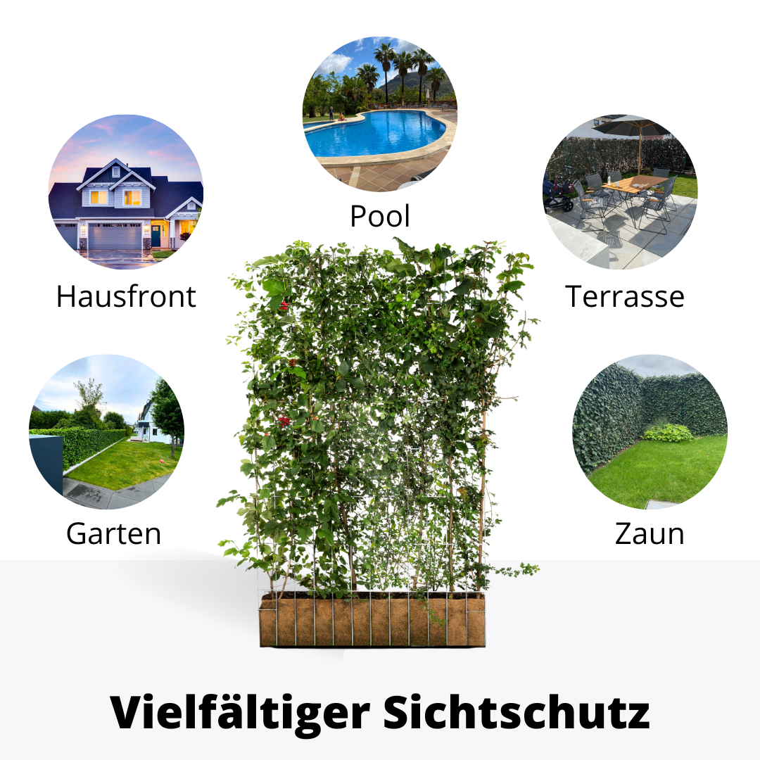 Efeuria ECO Fertighecke, sieben Heckenarten in einer Hecke, Maße 180x120 cm