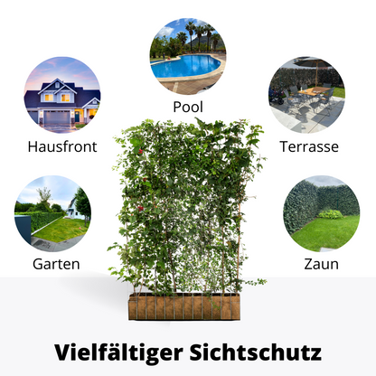 Efeuria ECO Fertighecke, sieben Heckenarten in einer Hecke, Maße 180x120 cm