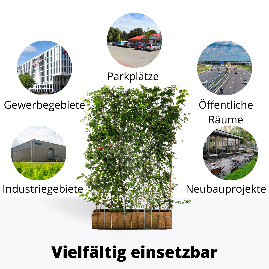 Efeuria ECO Fertighecke, sieben Heckenarten in einer Hecke, Maße 180x120 cm