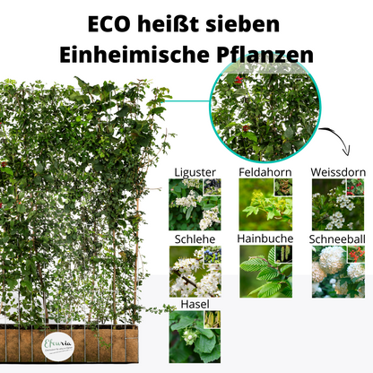 Efeuria ECO Fertighecke, sieben Heckenarten in einer Hecke, Maße 180x120 cm