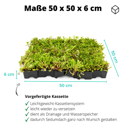 40er Bundle - Gründach MobiRoof Sedum Dachbegrünung, Dachbegrünungssystem Flachdach, Maße 50x50x6 cm, 40 Stück Dachbegrünung