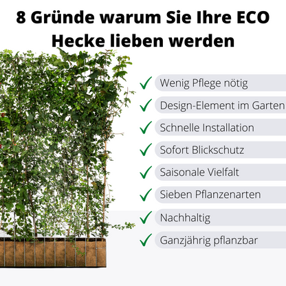 Efeuria ECO Fertighecke, sieben Heckenarten in einer Hecke, Maße 180x120 cm