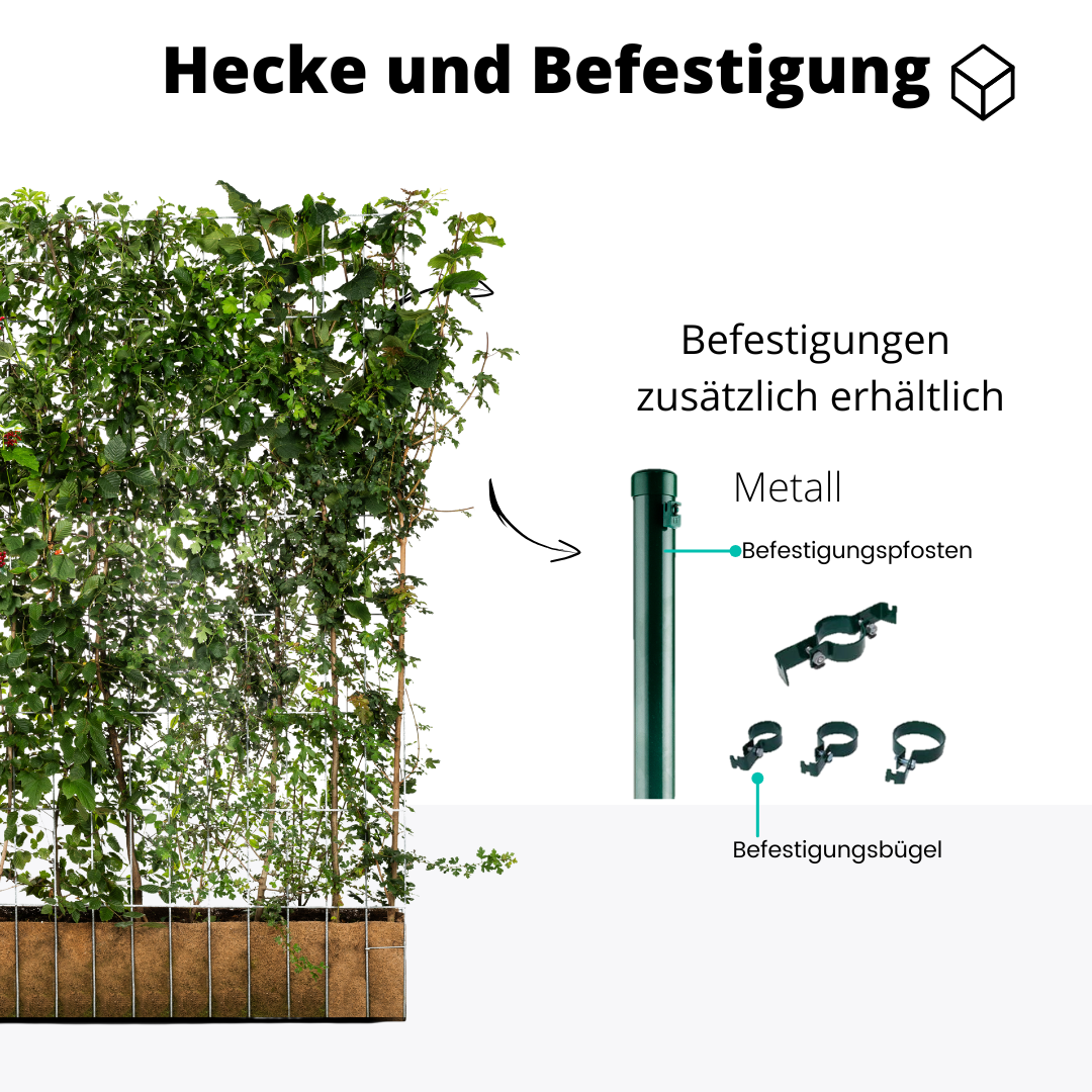 Efeuria ECO Fertighecke, sieben Heckenarten in einer Hecke, Maße 180x120 cm