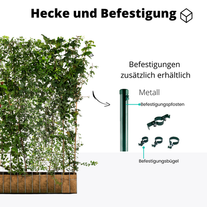 Efeuria ECO Fertighecke, sieben Heckenarten in einer Hecke, Maße 180x120 cm