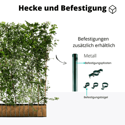 Efeuria ECO Fertighecke, sieben Heckenarten in einer Hecke, Maße 180x120 cm Gartenhecke