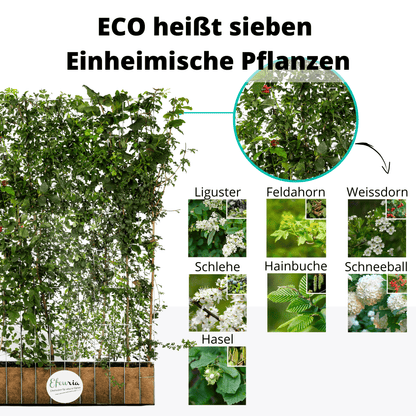 Efeuria ECO Fertighecke, sieben Heckenarten in einer Hecke, Maße 180x120 cm Gartenhecke