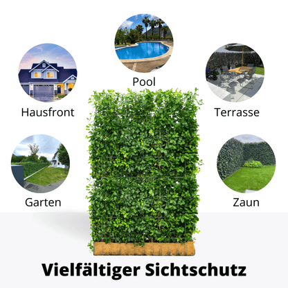 Euonymus Gartenhecke, Fertighecke, Sorte Fort ‘Dart’s Blanket, Spindelbaum, Kardinalshut, Pfaffenhütchen, 180 cm Höhe, 120 cm Breite Gartenhecke