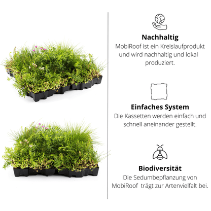 Gründach MobiRoof Sedum & WildFlower, extensive Dachbegrünung Flachdach, Dachbegrünungssystem Bepflanzung, Maße 50x50x6 cm, Vorteile Dachbegrünung