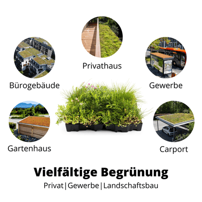 Gründach MobiRoof Sedum & WildFlower, extensive Dachbegrünung Flachdach, Dachbegrünungssystem Bepflanzung, Maße 50x50x6 cm, Vorteile Dachbegrünung