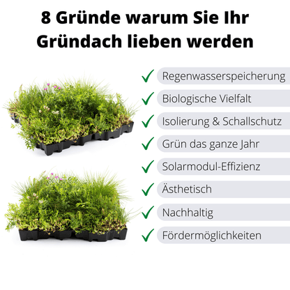 Gründach MobiRoof Sedum & WildFlower, extensive Dachbegrünung Flachdach, Dachbegrünungssystem Bepflanzung, Maße 50x50x6 cm, Vorteile Dachbegrünung