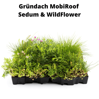 Gründach MobiRoof Sedum & WildFlower, extensive Dachbegrünung Flachdach, Dachbegrünungssystem Bepflanzung, Maße 50x50x6 cm, Vorteile Dachbegrünung