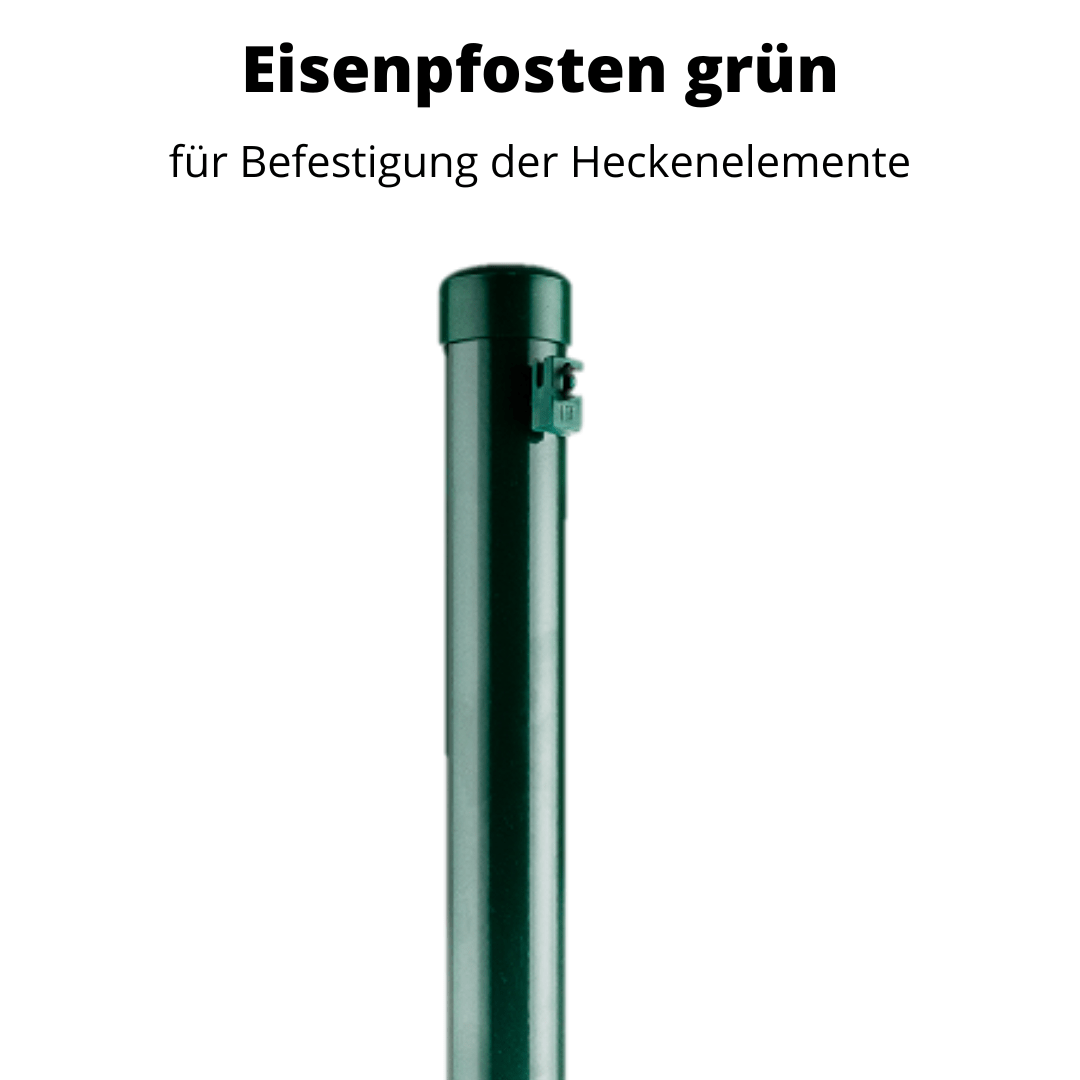 Metall-Pfosten grün (Betafence) - Efeuria, die Gartenhecken aus Efeu