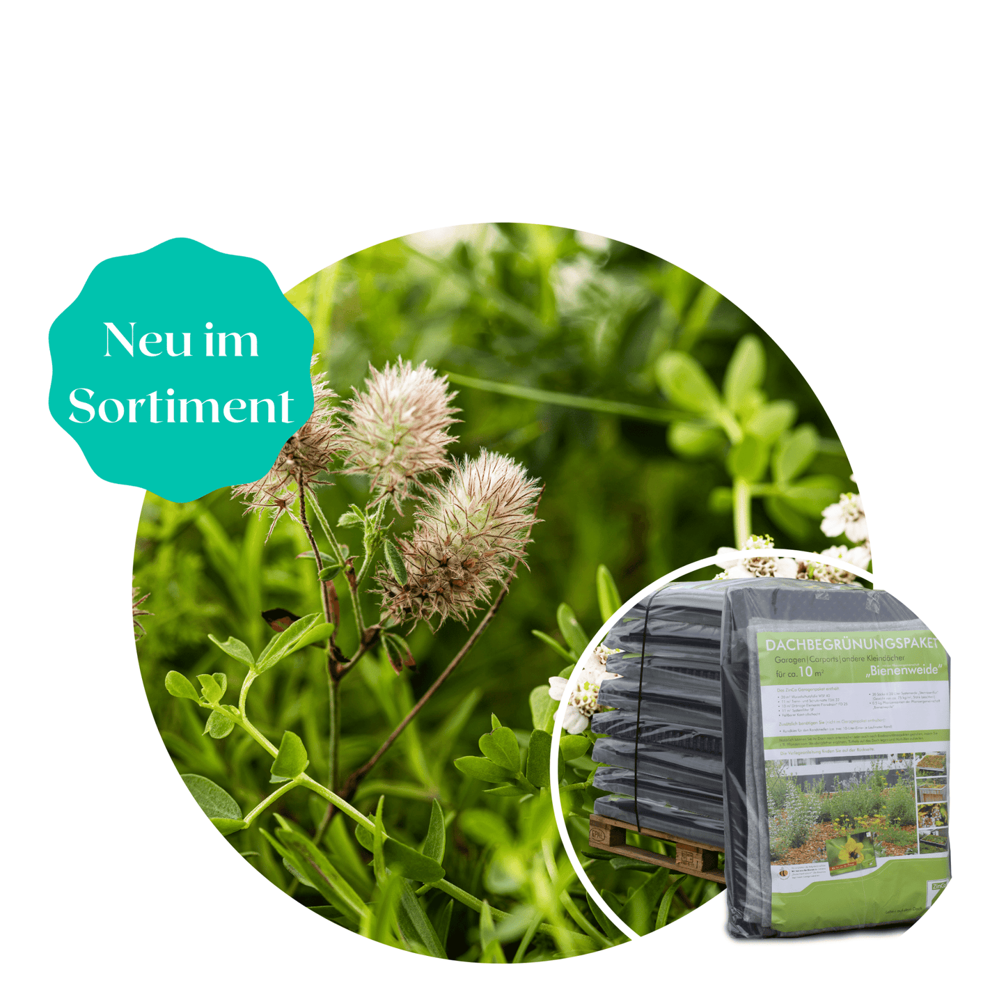 ZinCo Dachbegrünung Garagenpaket für 10 qm Dachfläche Dachbegrünung